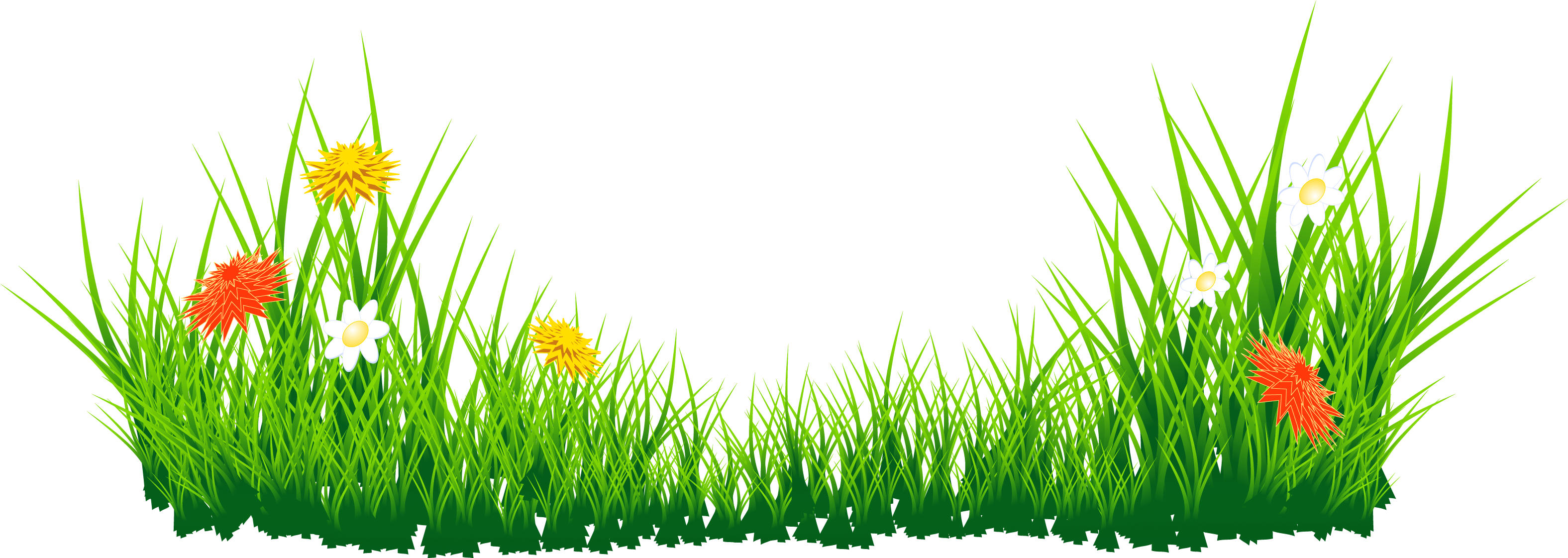 Sea Grass Clipart Grass Border - Grass Png (3188x1120)