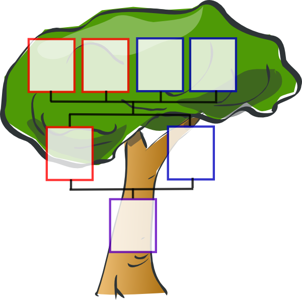 Family Tree Clipart - Tree Clip Art (600x596)