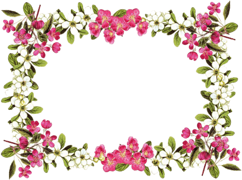 Flower Frame Png (850x607)