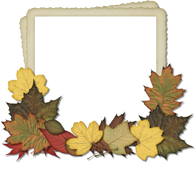 Scrapbooking Tammytags Tt - Designer Photo Frames Png (652x560)