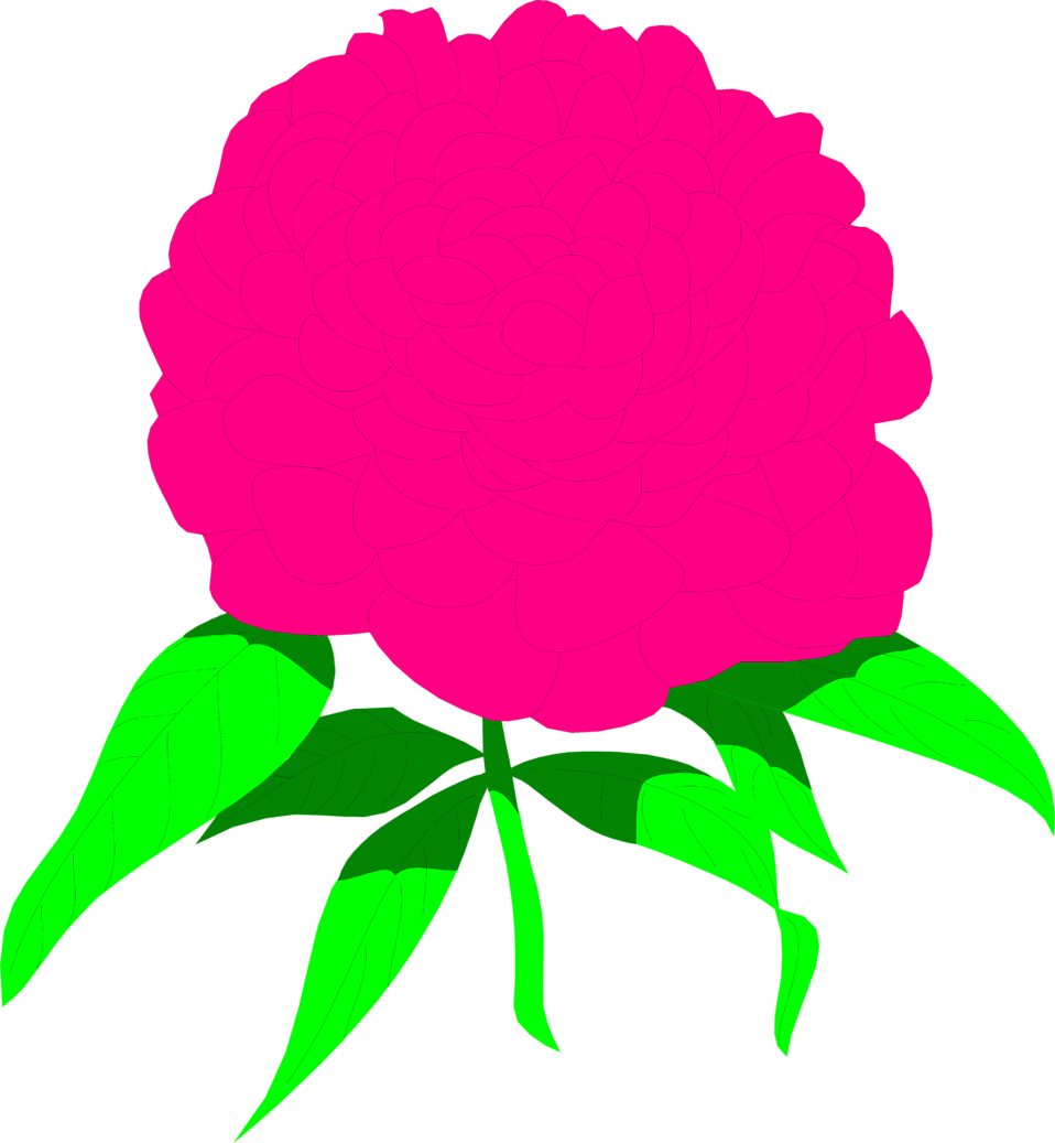 Free Pink Peony Clipart - Clip Art (958x1037)