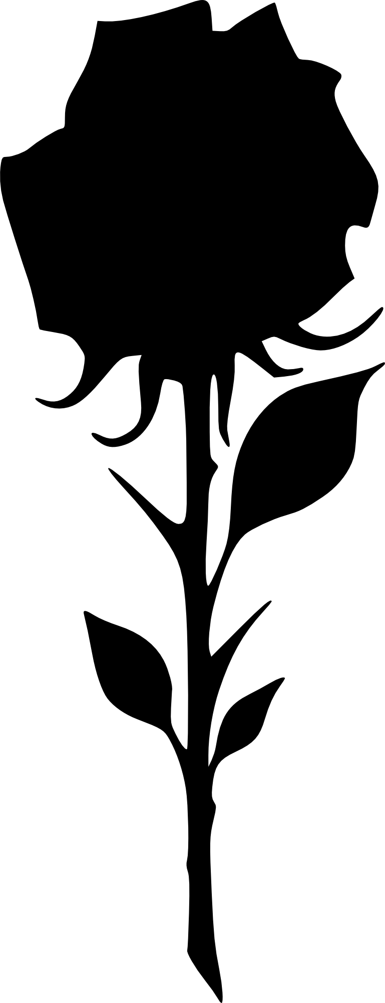 Black Rose Silhouette - Black Rose Png Clipart (769x2000)