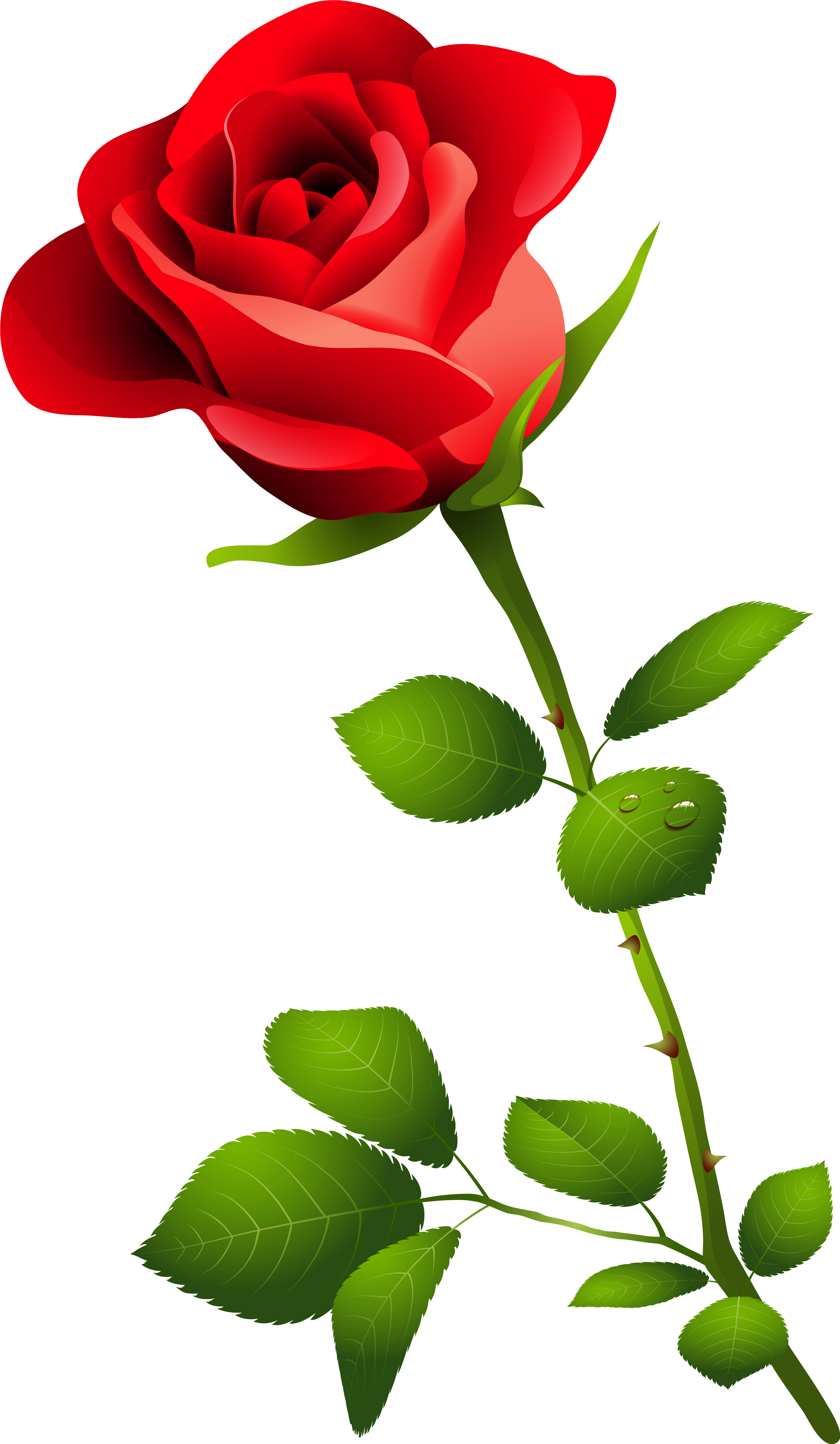 Edit And Free Download Red Rose With Stem Png Clipart - Happy Rose Day Image Download (3658x6286)