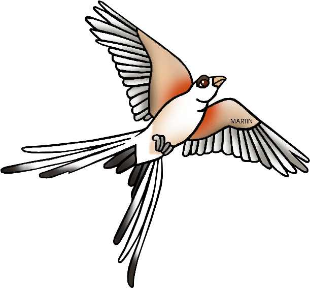 Kingfisher Clipart Ibon - State Bird Of Oklahoma (648x594)