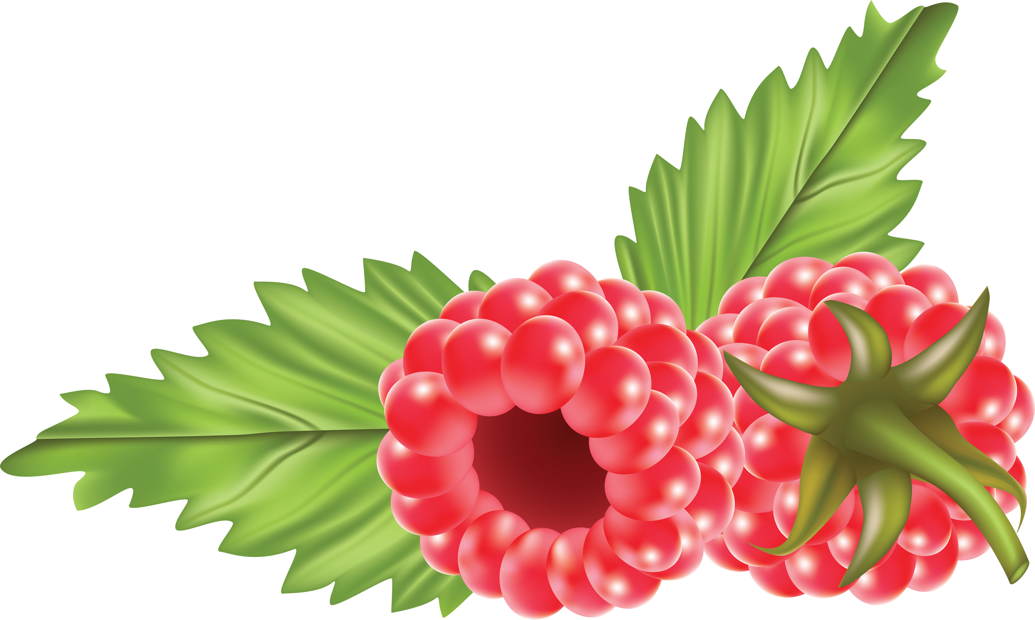 Rraspberry Png Image - Raspberry Clipart Png (3513x2106)