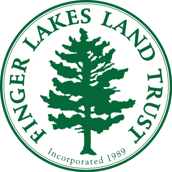 390 Acres With Nearly 6 Miles Of Trails, The Finger - 390 Acres With Nearly 6 Miles Of Trails, The Finger (600x600)