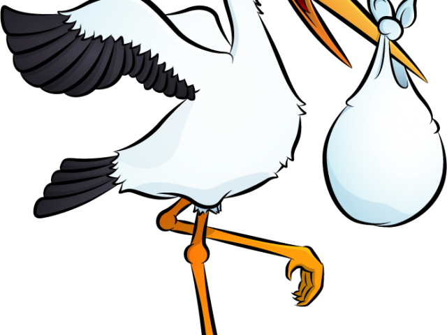 Stork Clipart Baby Outline - Stork Clipart Baby Outline (640x480)