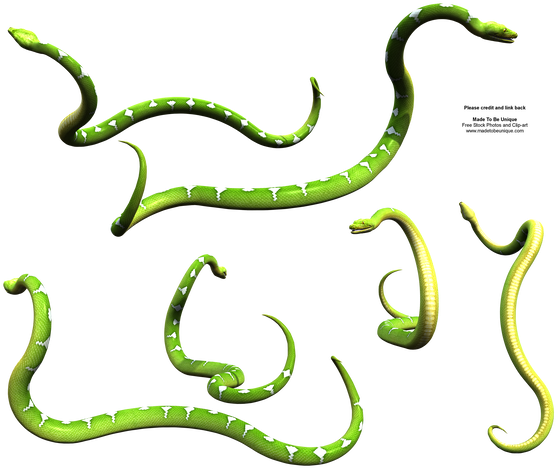 Slithering Green Snake Python By Madetobeunique - Slithering Green Snake Python By Madetobeunique (600x480)