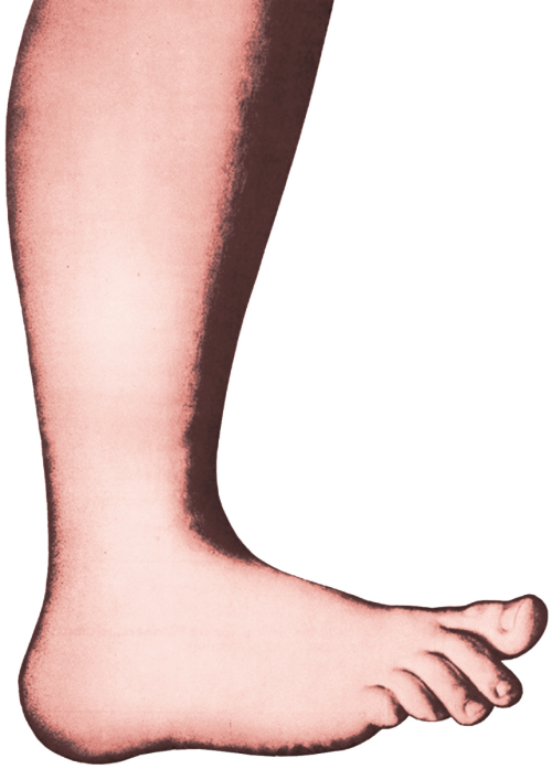 Clip Art Extra Curricular Connor Clark Musical Theatre - Clip Art Extra Curricular Connor Clark Musical Theatre (500x697)