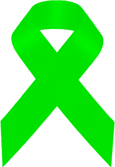 Lime Green Awareness Ribbon Here Are Some Causes That - Lime Green Awareness Ribbon Here Are Some Causes That (418x600)