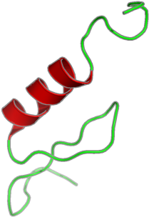 Ribbon Image For 2yrm - Ribbon Image For 2yrm (800x600)