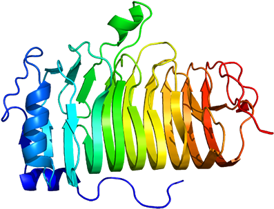 Cd20 Was Discovered In 1980 As The First Specific B - Cd20 Was Discovered In 1980 As The First Specific B (396x324)