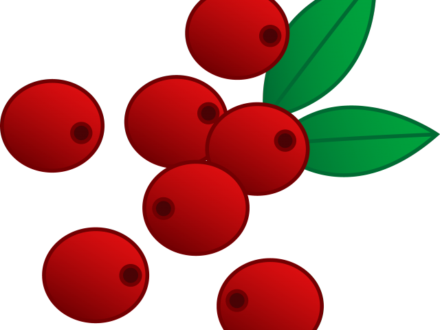 Cranberry Clipart Vector - Cranberry Clipart Vector (640x480)