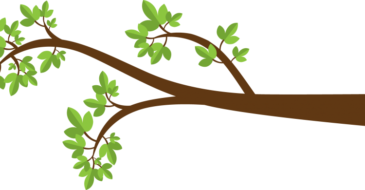 Limbs/branches Pick-up - Limbs/branches Pick-up (750x390)