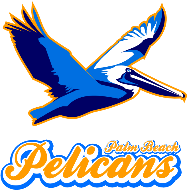 The Palm Beach Pelicans - The Palm Beach Pelicans (750x750)