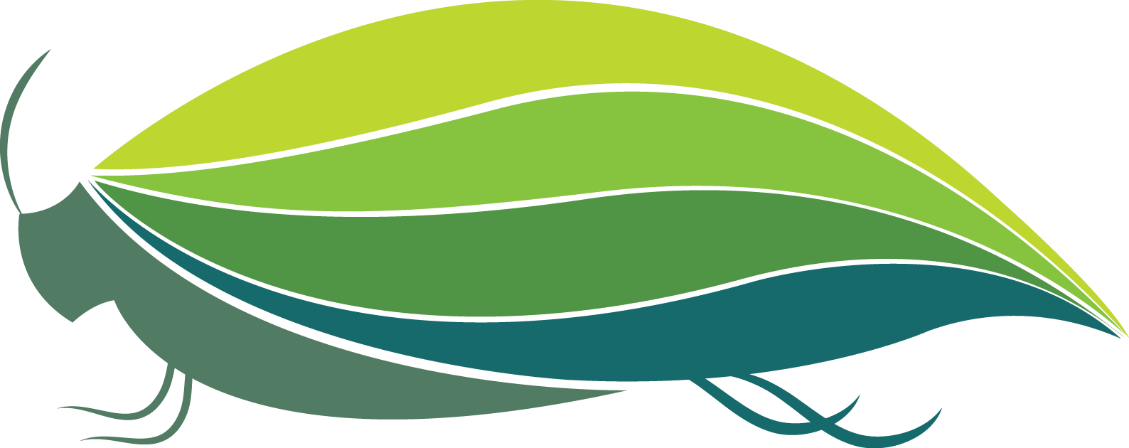 Grasshopper Clipart Project - Grasshopper Clipart Project (1588x630)