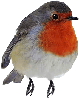 Bird Cliparts Download Free Clip Art - Bird Cliparts Download Free Clip Art (400x400)