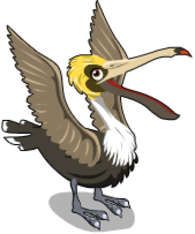 Brown Pelican - Brown Pelican (400x480)