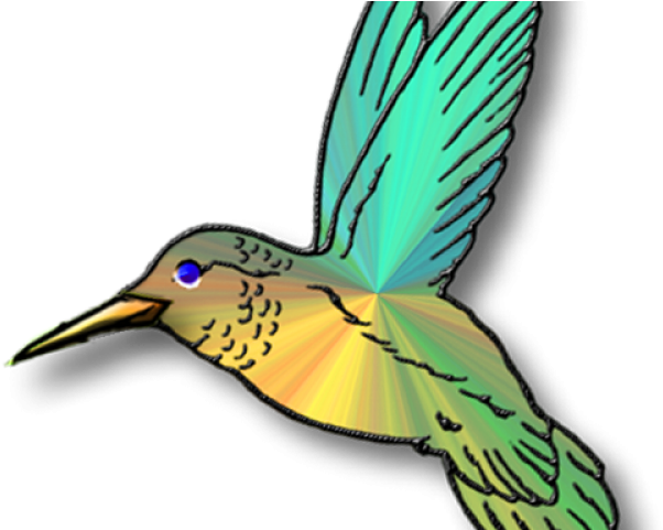 19 Hummingbird Clip Art Free Stock Huge Freebie Download - 19 Hummingbird Clip Art Free Stock Huge Freebie Download (640x480)