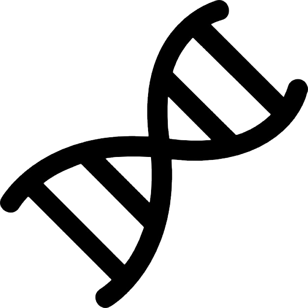 Dna Png - Dna Png (626x626)