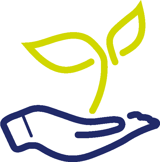 D E V E L O P M E N T - D E V E L O P M E N T (700x600)