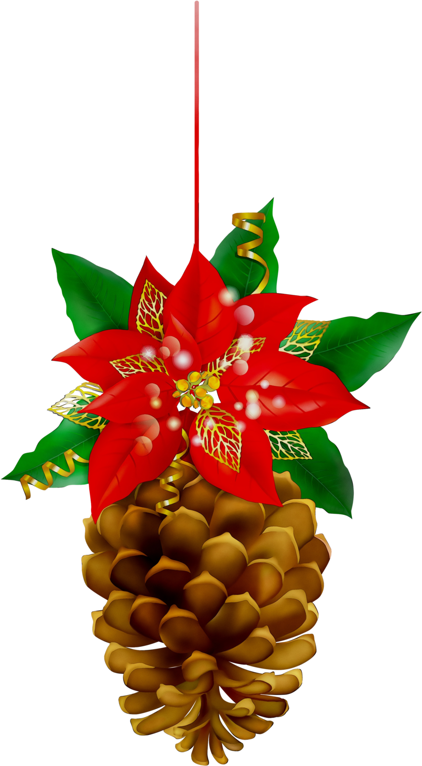Christmas Pinecone Clipart Christmas Day Poinsettia - Christmas Pinecone Clipart Christmas Day Poinsettia (900x1577)