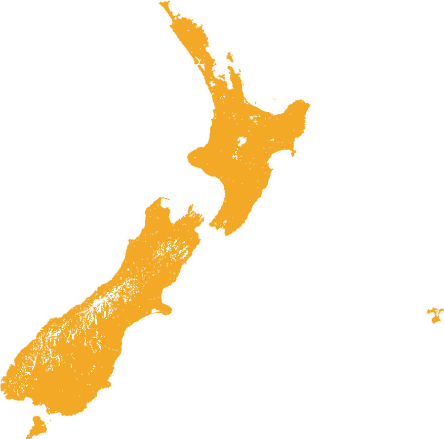 Little Spotted Kiwi - Little Spotted Kiwi (938x913)