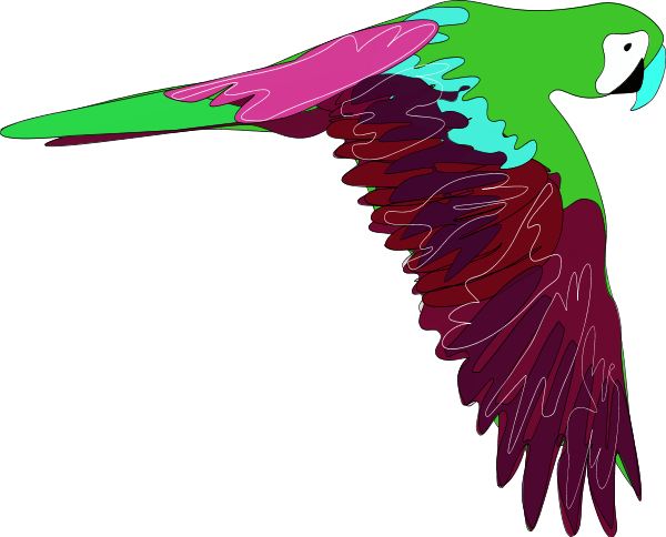 Flying Parrot Vector Clip Art - Flying Parrot Vector Clip Art (600x484)