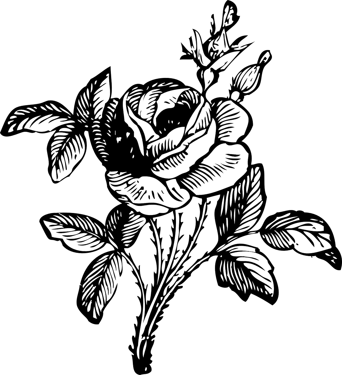 Rose Black And White Floral - Rose Black And White Floral (1166x1280)