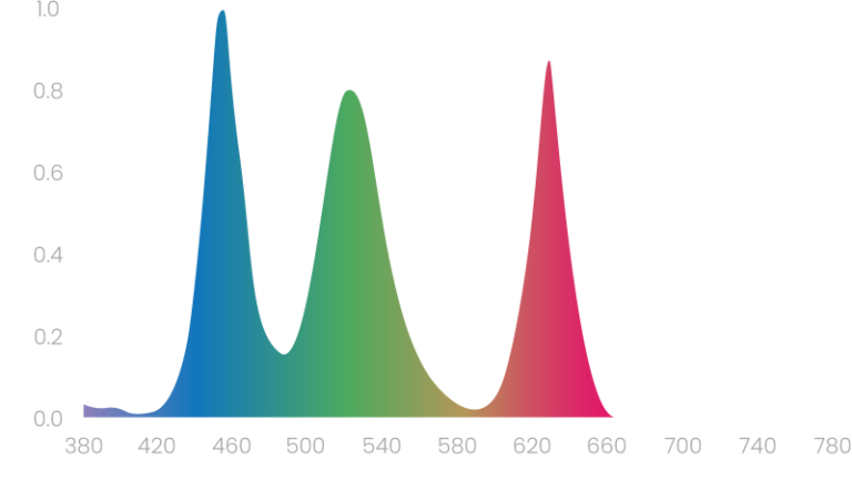 Light Is Coming From The Exact Same Factory - Light Is Coming From The Exact Same Factory (768x443)