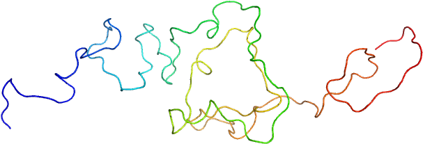 The N Terminal Domain Of Estrogen Receptor Alpha Custom - The N Terminal Domain Of Estrogen Receptor Alpha Custom (640x480)