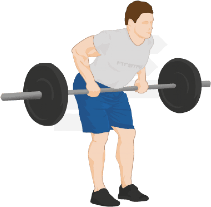 Download Bent Barbell Clipart Png Photo - Download Bent Barbell Clipart Png Photo (850x836)