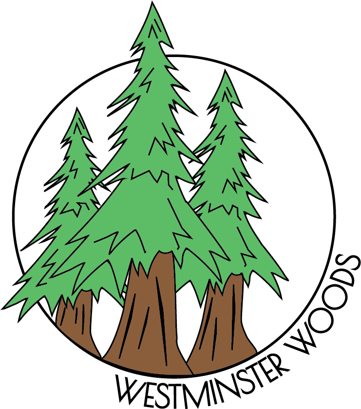 Woods Clipart Redwood Forest - Woods Clipart Redwood Forest (774x996)
