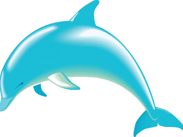 Spinner Dolphin Clipart Dolphin Fish - Spinner Dolphin Clipart Dolphin Fish (640x480)