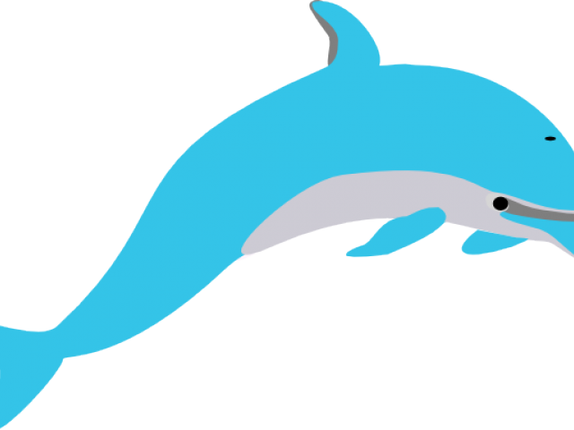 Spinner Dolphin Clipart Lumba Lumba - Spinner Dolphin Clipart Lumba Lumba (640x480)