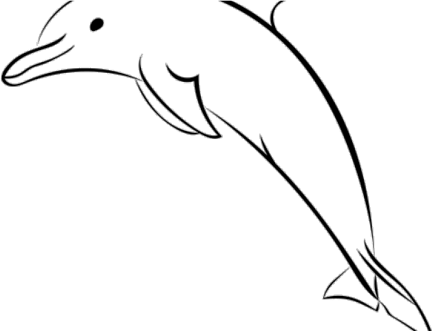 Spinner Dolphin Clipart Dolphin Head - Spinner Dolphin Clipart Dolphin Head (640x480)