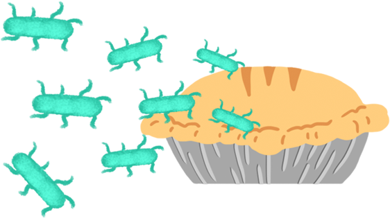 Pot Pie Crawling With Salmonella - Pot Pie Crawling With Salmonella (731x420)