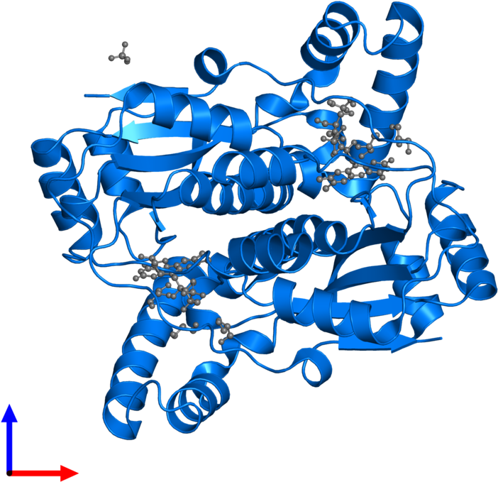 <div Class='caption-body'>pdb Entry 3gag Contains 2 - <div Class='caption-body'>pdb Entry 3gag Contains 2 (800x800)