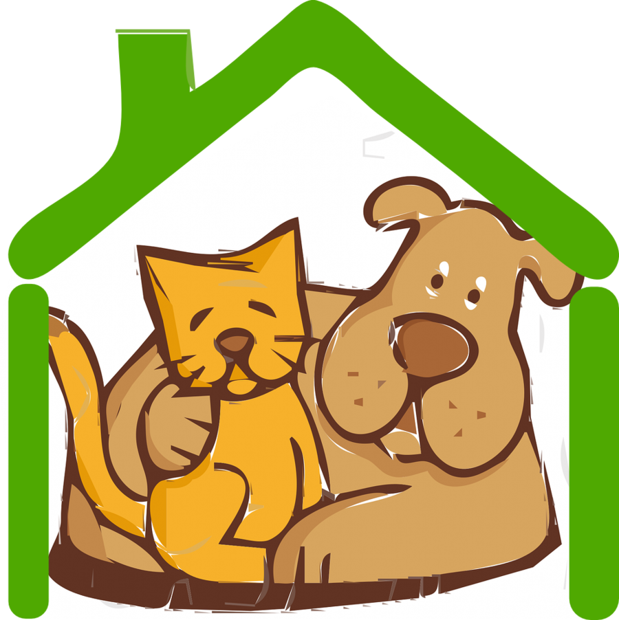 Cat And Dog Clip Art Clipart Cat Dog Clip Art - Cat And Dog Clip Art Clipart Cat Dog Clip Art (900x902)