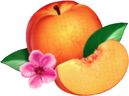 Flower Idk Peaches Phoenix Peach Transparent Looks - Flower Idk Peaches Phoenix Peach Transparent Looks (441x329)