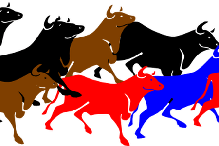 Bulls Clipart Stampede - Bulls Clipart Stampede (450x300)