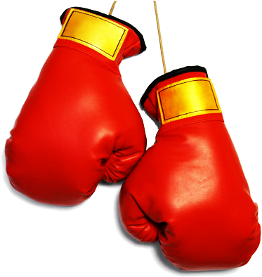 Boxing Gloves Png File - Boxing Gloves Png File (800x500)
