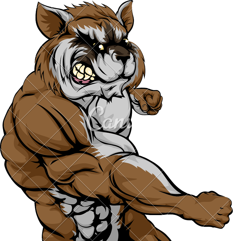 Punching Raccoon Mascot - Punching Raccoon Mascot (774x800)