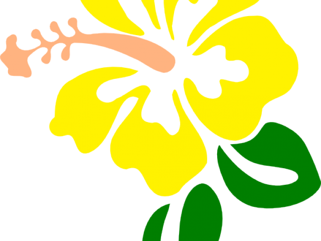 Yellow Clipart Hibiscus - Yellow Clipart Hibiscus (640x480)