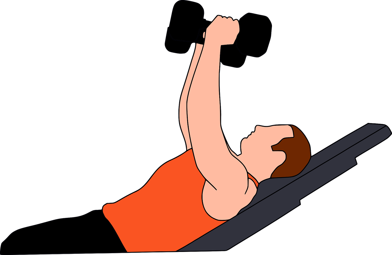 Gymnastics Gym Heavy - Gymnastics Gym Heavy (1280x832)