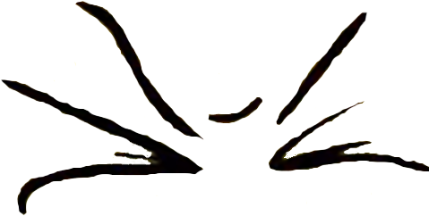 Closed Eye Png - Closed Eye Png (524x294)