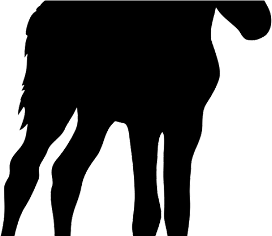 Foal Clipart Simple Horse - Foal Clipart Simple Horse (640x480)