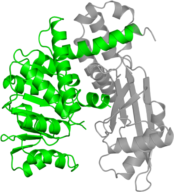 <div Class='caption-body'>1 Copy Of Pfam Domain - <div Class='caption-body'>1 Copy Of Pfam Domain (800x800)