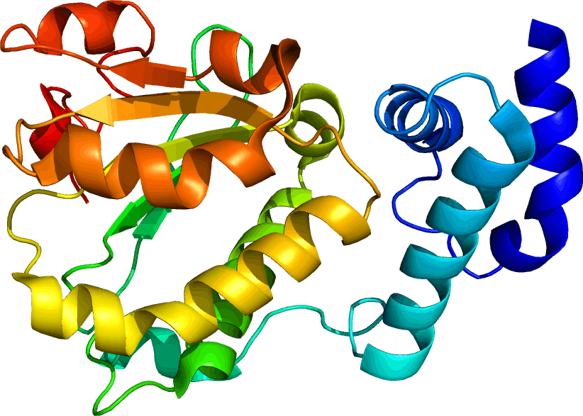 Computer Generated Image Of Protein Rlbp1 - Computer Generated Image Of Protein Rlbp1 (822x587)