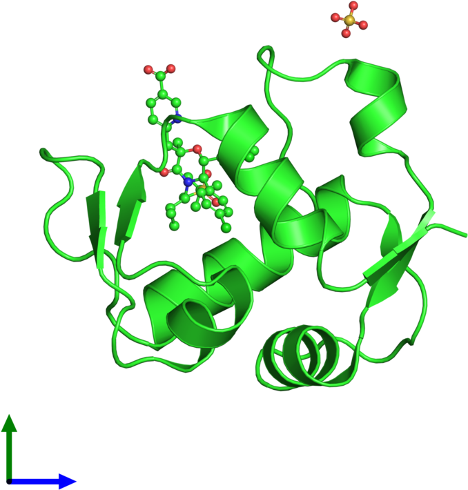 Ribbon Structure Of 4ogt - Ribbon Structure Of 4ogt (800x800)